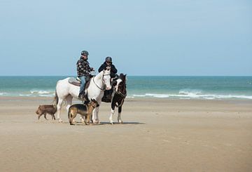 Paardrijden op het strand van Robby Stifter