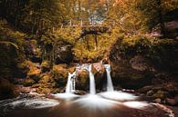 Cascade Schiessentümpel à Müllerthal, Luxembourg en couleurs d'automne par Chris Snoek Aperçu