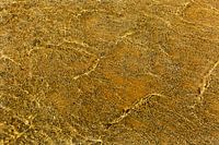 Rotes Meer