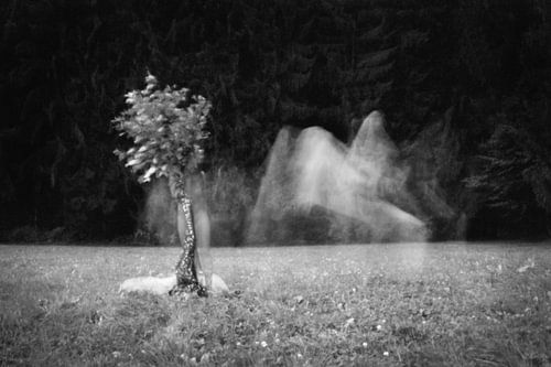 Daphne von Günther Henry Schulze