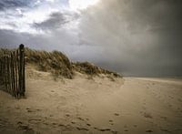 Duinen