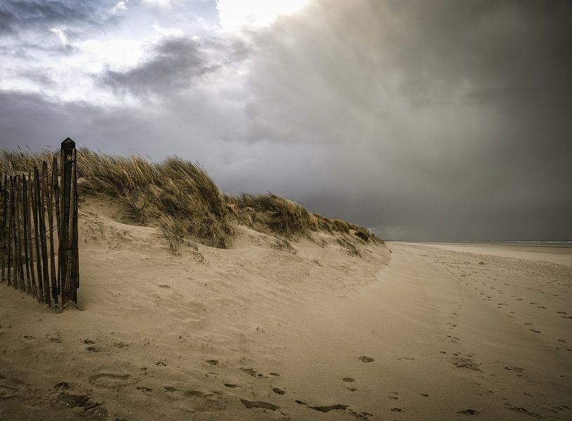 Dunes by Hans Huys