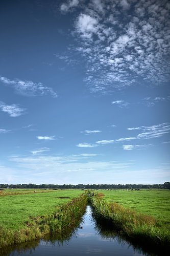 Polder near Oud-Zuilen