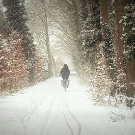 against the elements van bob van den berg