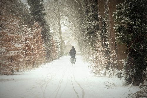 against the elements