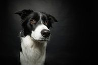 Are you talking to me? van Carine Belzon thumbnail