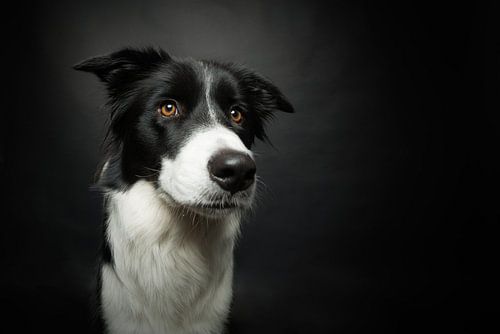 Are you talking to me?