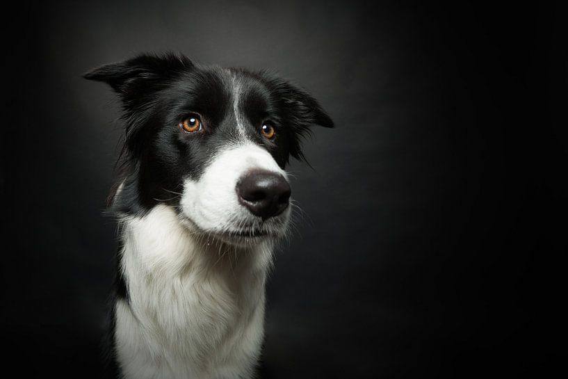 Are you talking to me? van Carine Belzon