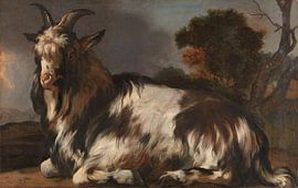 Reclining billygoat, Jan Baptist Weenix