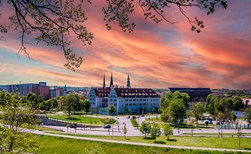 Skyline von Zwickau in Sachsen von Animaflora PicsStock