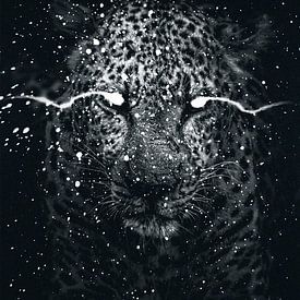 Panther schwarz-weiß von Tom IJmker