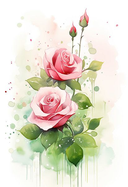 Roses by Wall Wonder