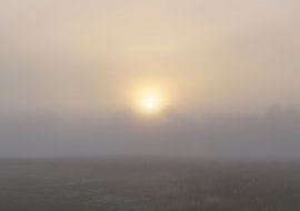 Lever du soleil à Dwingelderveld - Drenthe (Pays-Bas)