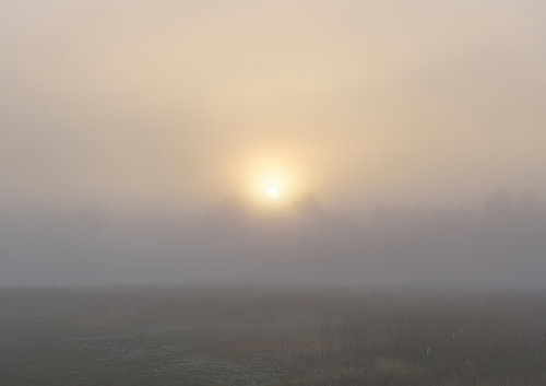 Sonnenaufgang in Dwingelderveld – Drenthe (Niederlande)
