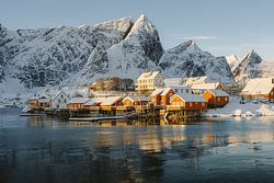 Sakrisøy, Lofoten, Noorwegen