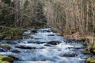 Schweden Landschaft 102 von Geertjan Plooijer Miniaturansicht