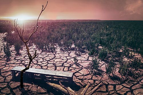 Verwoesting en Veerkracht: Eenzaam Boom in Uitgedroogd Landschap als Symbool van Strijd