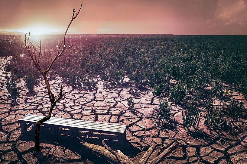 Verwüstung und Widerstandskraft: Einsamer Baum in ausgedörrter Landschaft als Symbol des Kampfes von Elianne van Turennout
