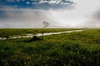 Nach Regen kommt Sonnenschein