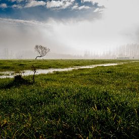 Na regen komt zonneschijn van Hanne Boullart