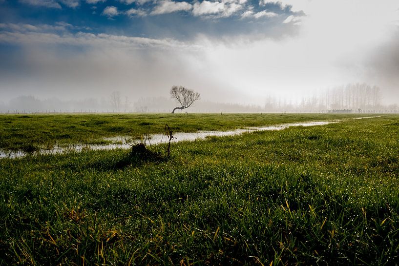 After rain comes sunshine by Hanne Boullart