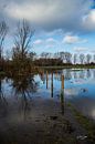 Overstromingen in Limburg van Clive Lynes thumbnail