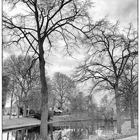 Highly Defined Trees van Robert Kersbergen