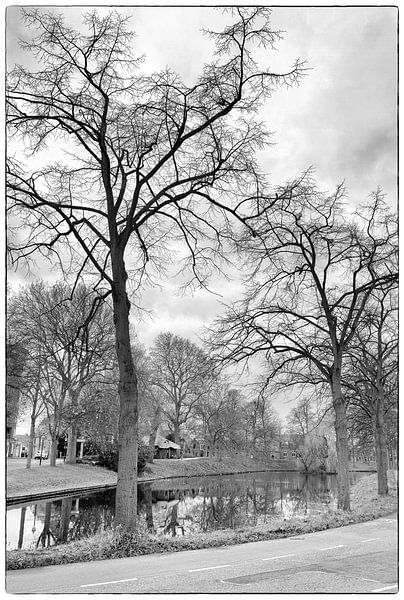 Highly Defined Trees by Robert Kersbergen