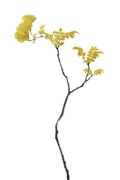 Blume Minimal Schwarz und Gold 01 von amini54 