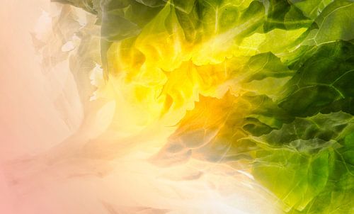 Licht magie - salade