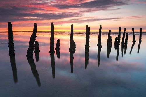 Palen op het Het Groninger Wad