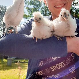 Anne Ansink Profile picture