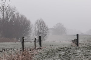 kalter Nebel