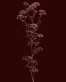 Plant Zonlicht | Illustratie | Bruin | Licht