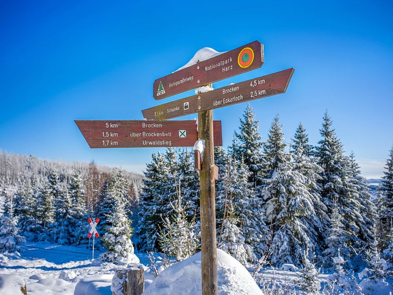 Wanderwegweiser bei Schierke im Harz von t.ART