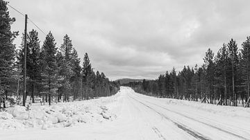 Route d'hiver sur Timo Bergenhenegouwen
