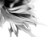 Ga met me mee van Henriëtte Mosselman thumbnail