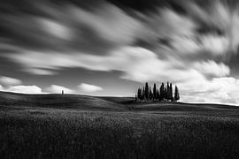 Rêves de réalité sur Thomas de Franzoni