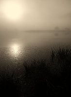 Boom in mist 003