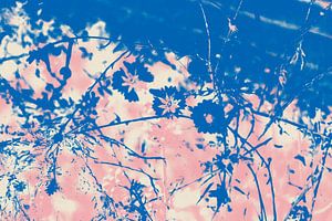 Wildblumenwiese im Sommer. Moderne abstrakte botanische Kunst