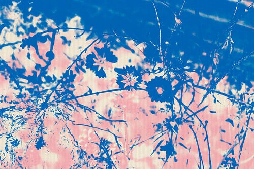 Wilde bloemenweide in de zomer. Moderne abstracte botanische kunst