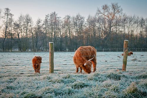 Moeder en kind in Schotse Hooglanden in koude decembermaand