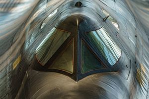 Nahaufnahme Cockpit Blackbird.