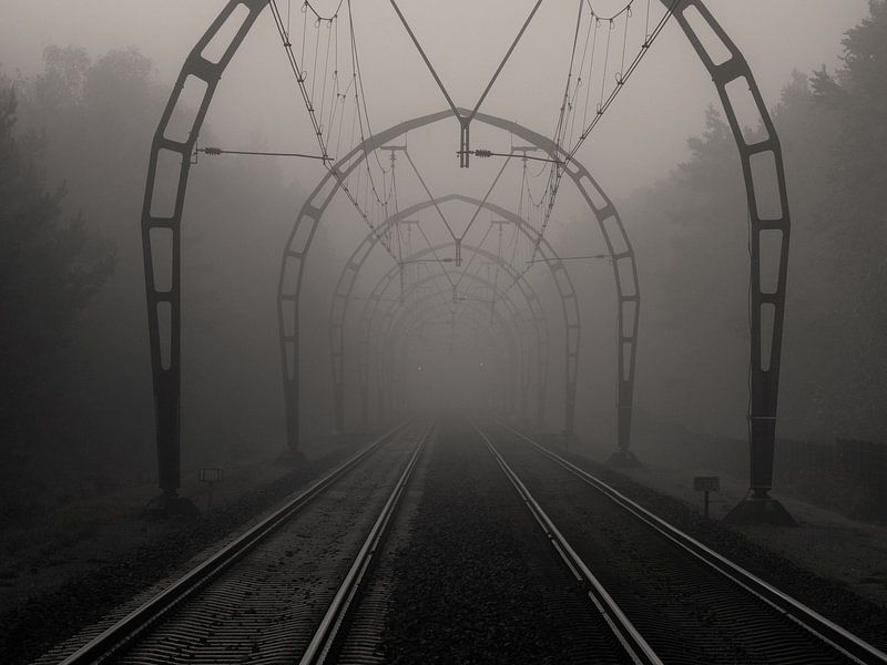 Alte Eisenbahnportale im Nebel bei Hilversum in den Niederlanden von Robin Jongerden
