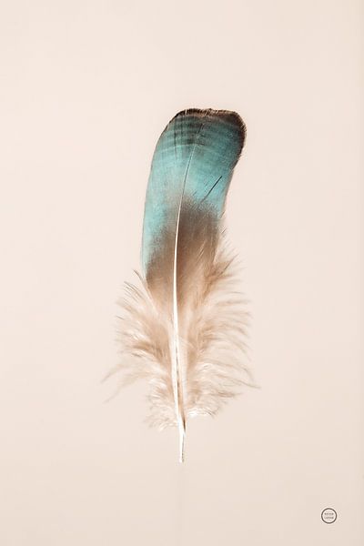 Drijvende veren IV, Nathan Larson van Wild Apple
