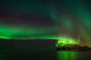 Flagette Aurora