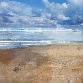 Noordzee-strand met typisch Nederlands wit blauw van Gevk - izuriphoto