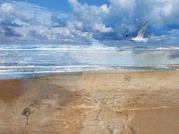 Noordzee-strand met typisch Nederlands wit blauw van Gevk - izuriphoto