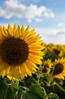 Sommertag