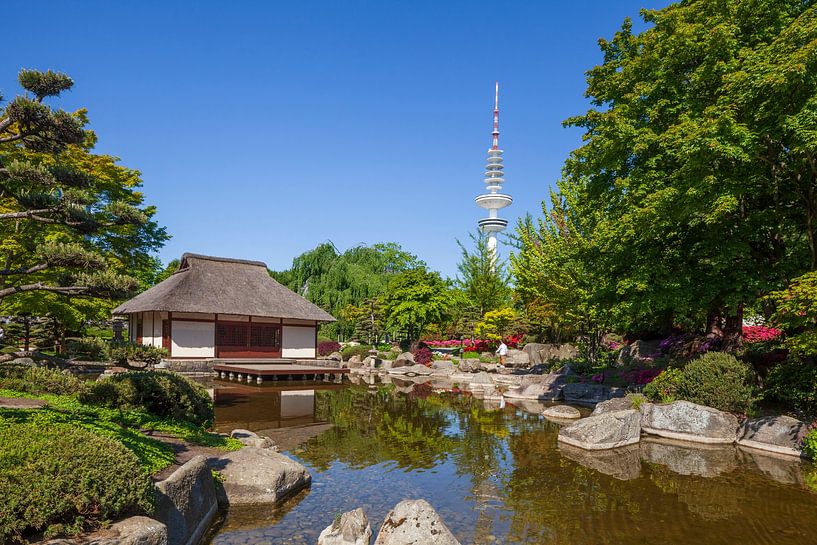 Japanese Garden, Hamburg by Torsten Krüger